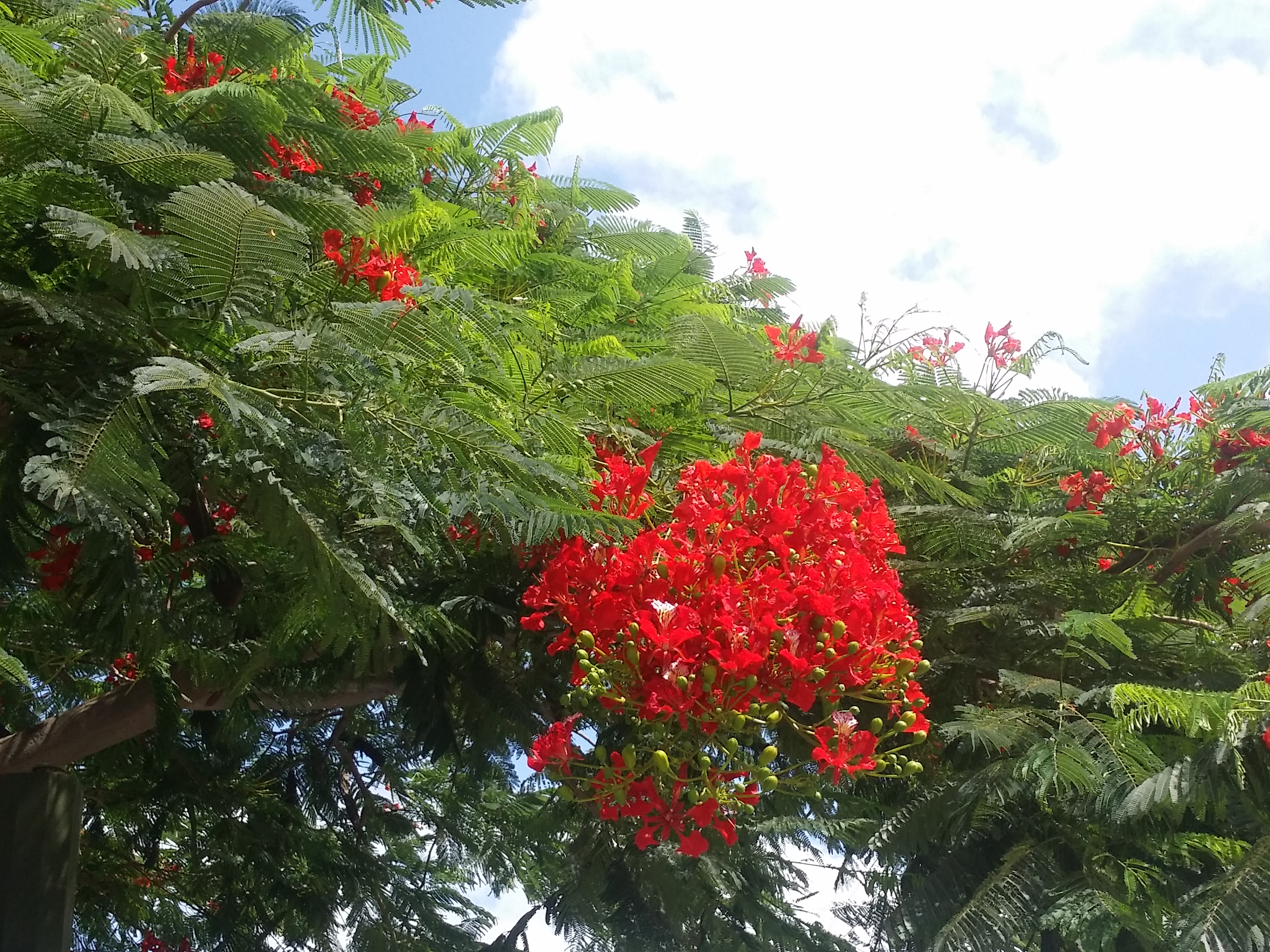 Azi despre ieri – 30 octombrie 2017