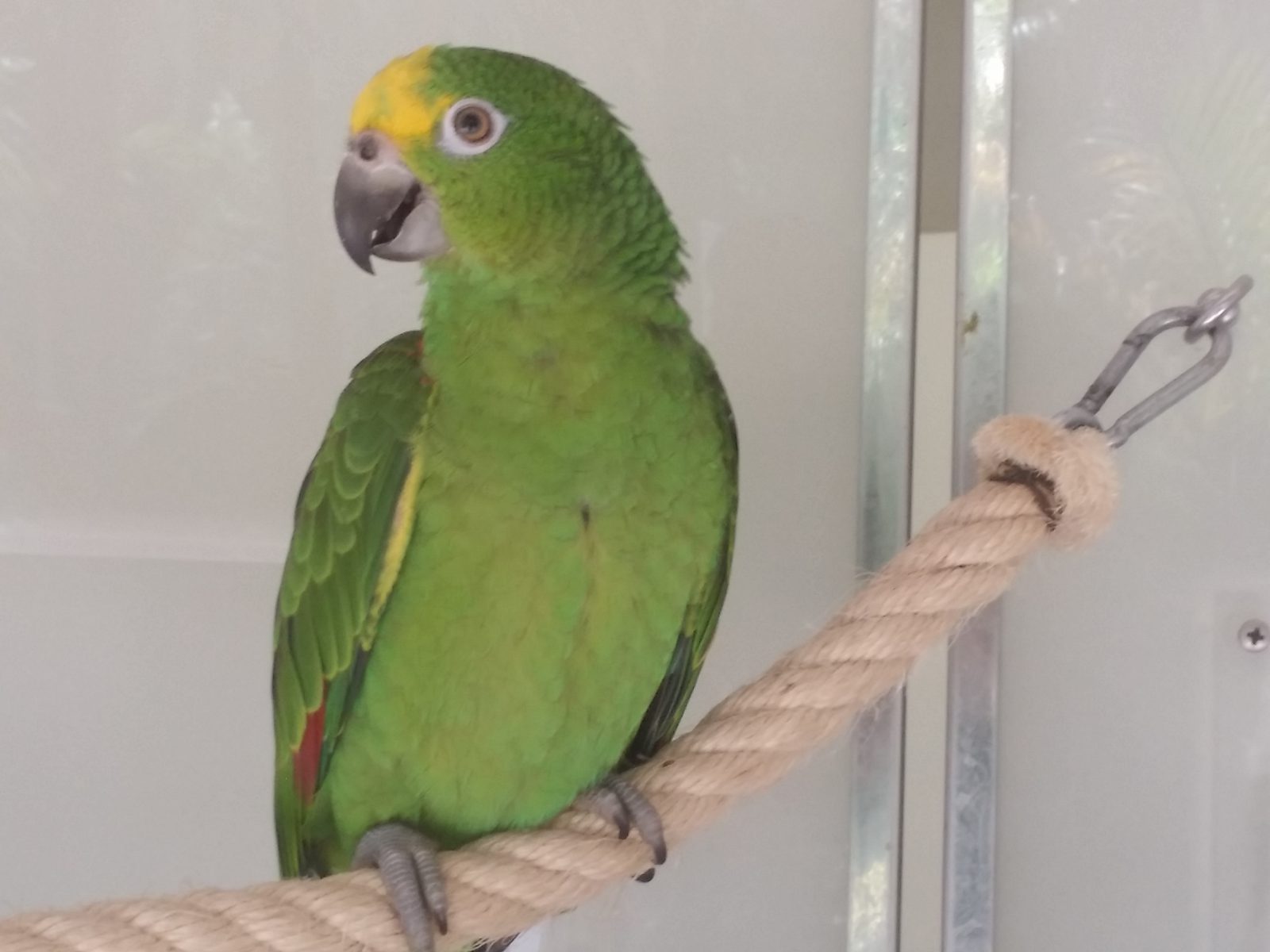 Azi despre ieri – 7 noiembrie 2017