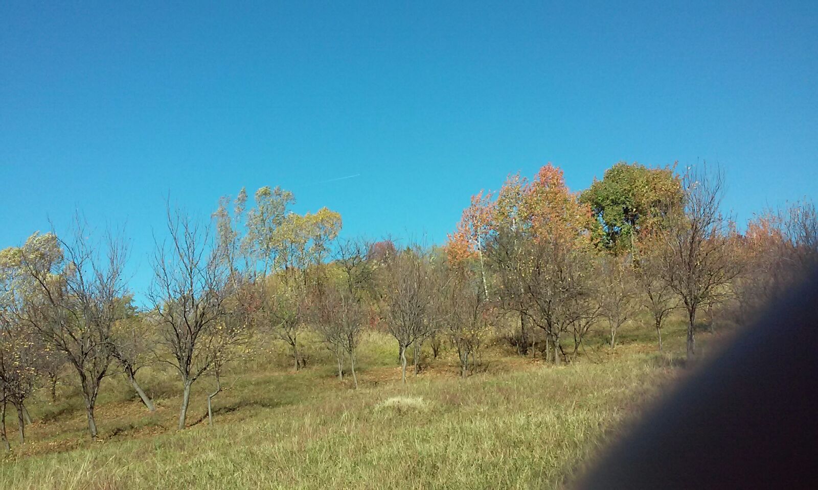 Azi despre ieri – 9 noiembrie 2017