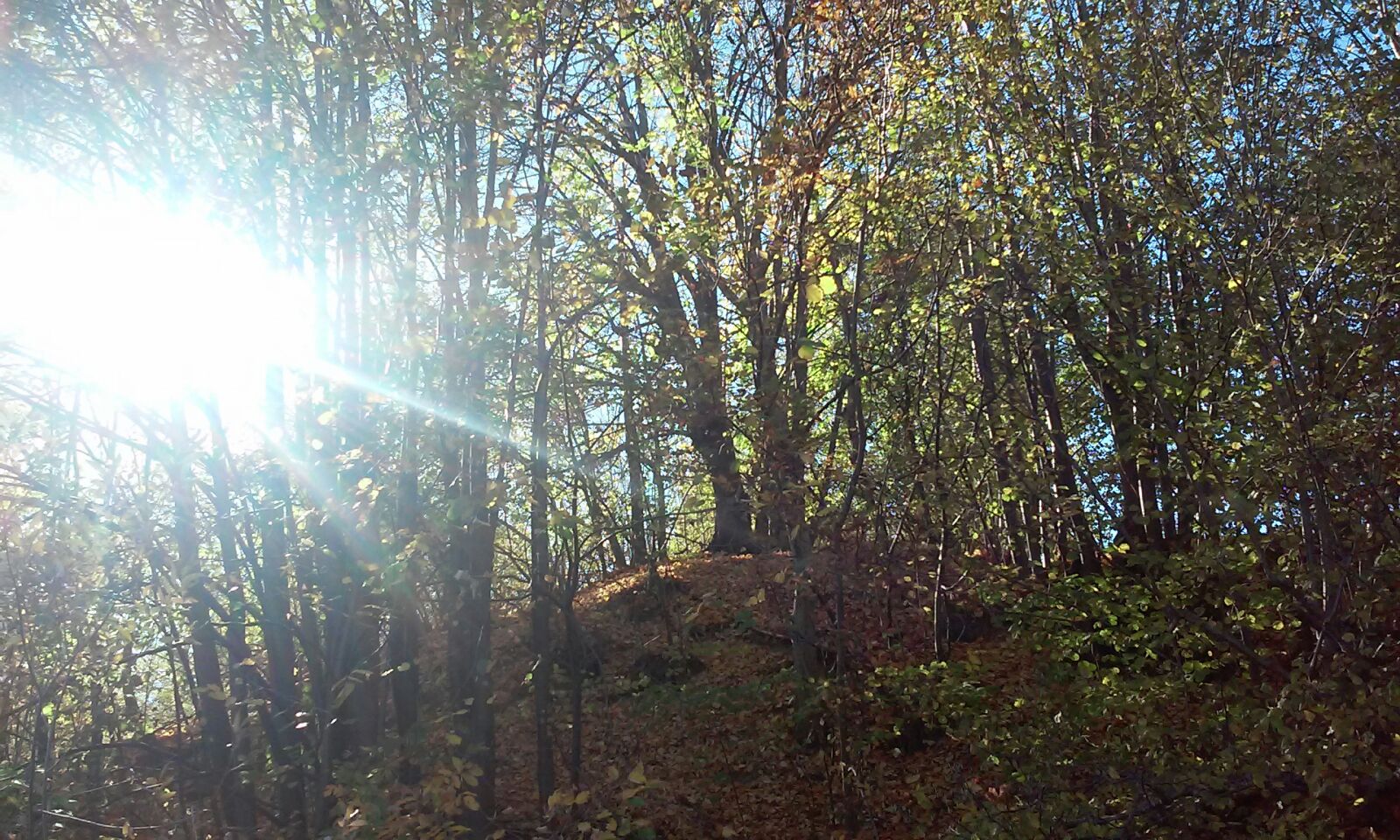 Peste 500 de arii protejate vor rămâne fără custozi (audio)