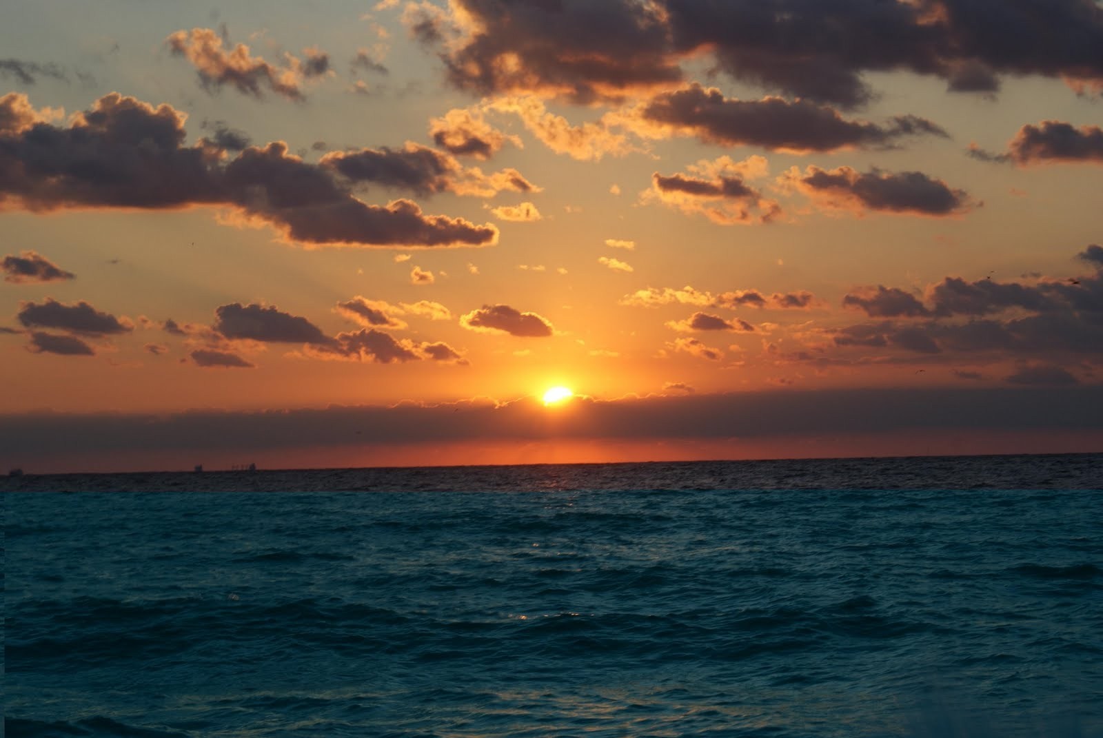 Ziua Internațională a Mării Negre