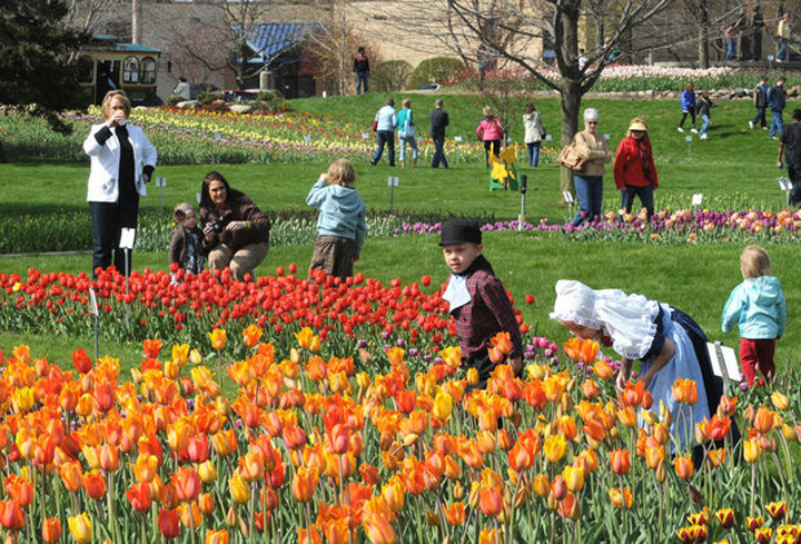 Situaţie disperată pentru 200 de români care lucrează în Olanda. Angajatorul dă vina pe statul român