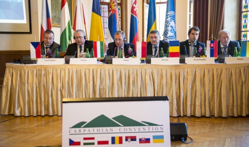 Țările din regiunea carpatică își unesc forțele pentru a lupta împotriva tăierilor ilegale