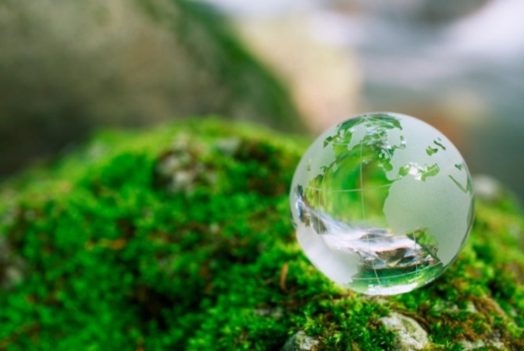 Acțiune de ecologizare a râului Jiu