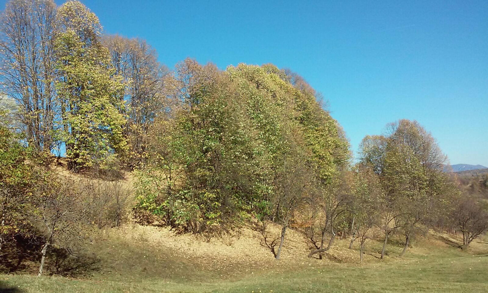 Azi despre ieri – 22 noiembrie 2017