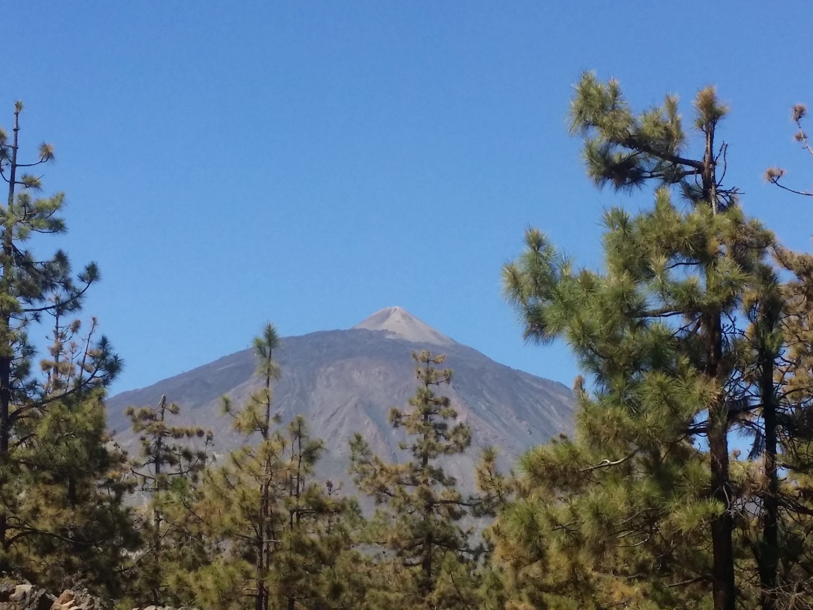 Azi despre ieri – 13 decembrie 2017