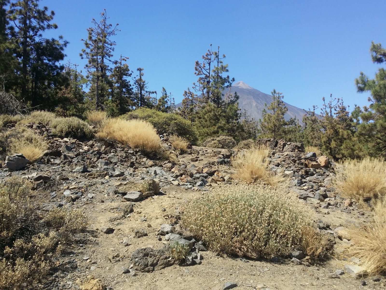 Azi despre ieri – 14 decembrie 2017