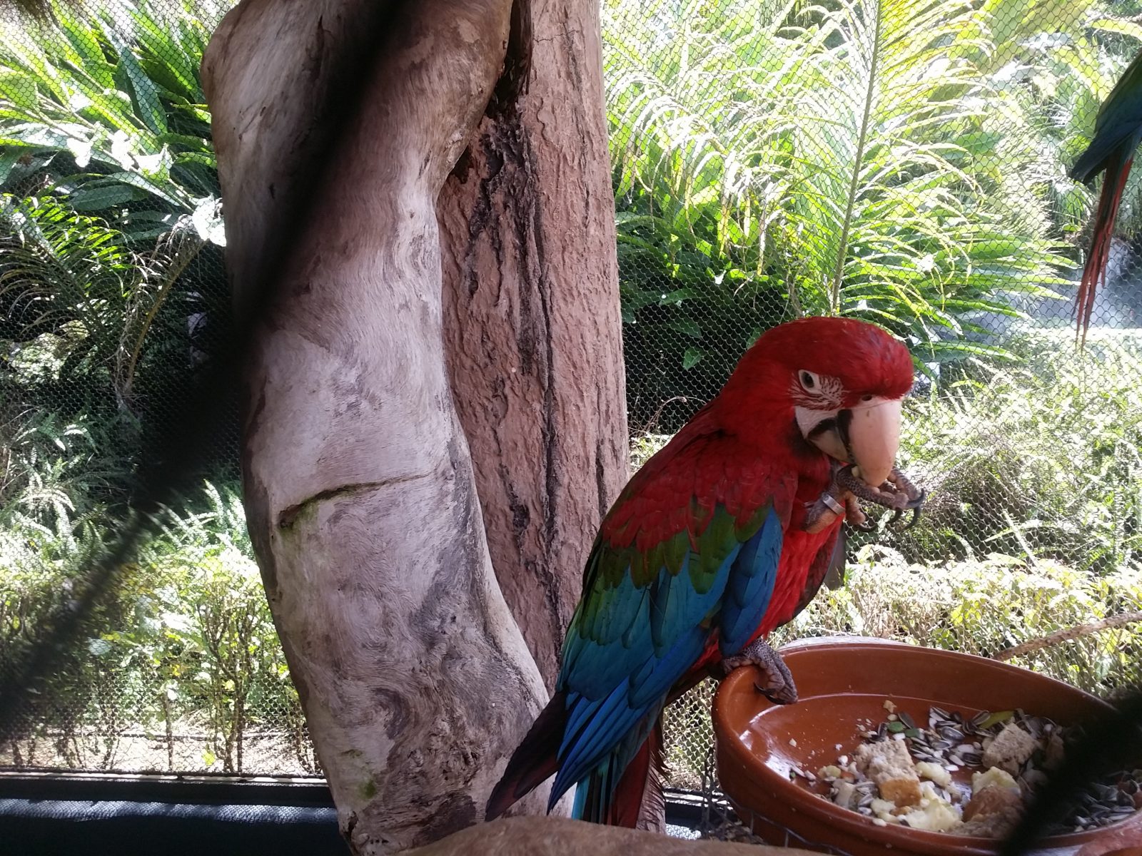 Azi despre ieri – 5 decembrie 2017