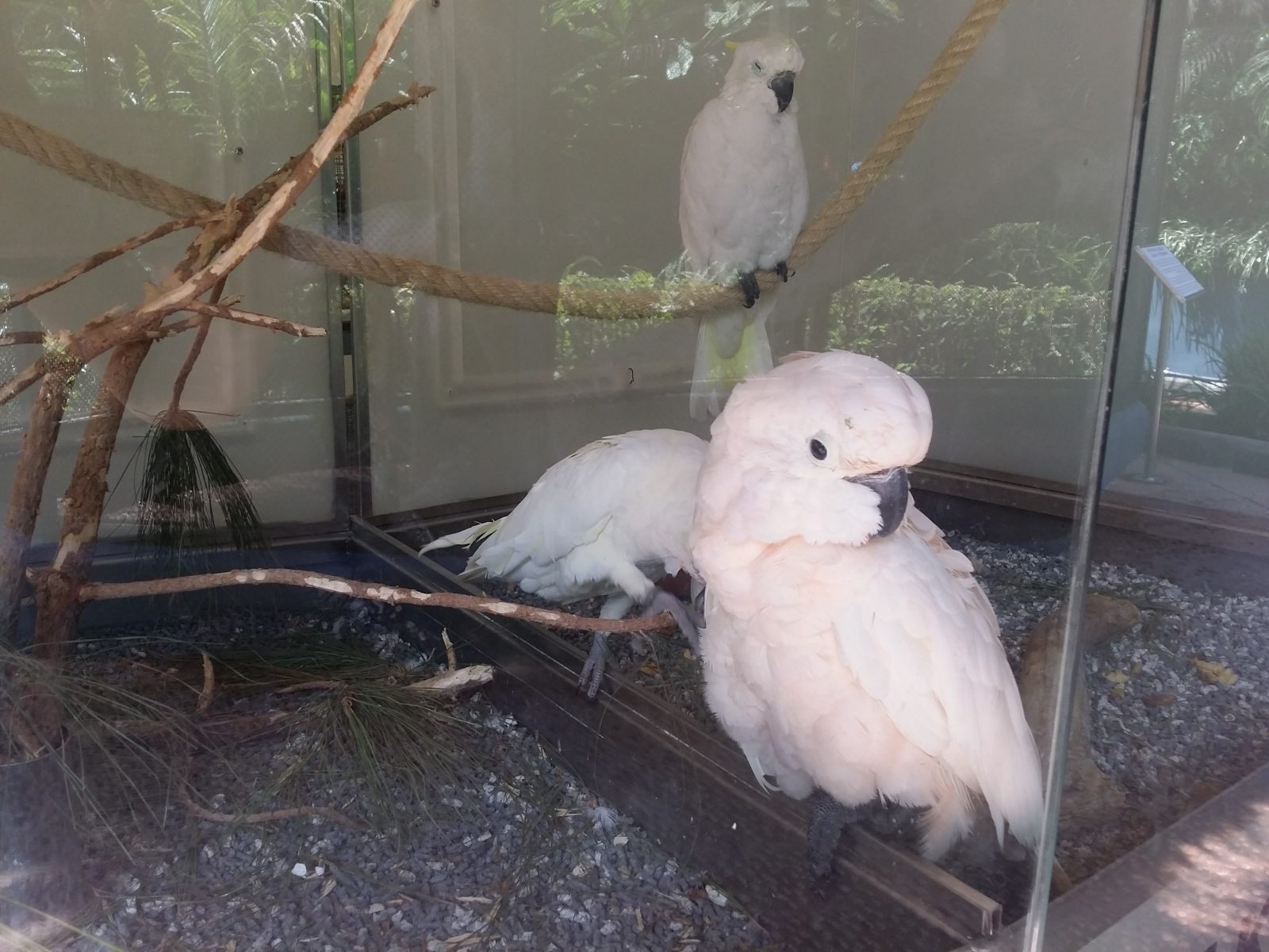 Azi despre ieri – 15 noiembrie 2017