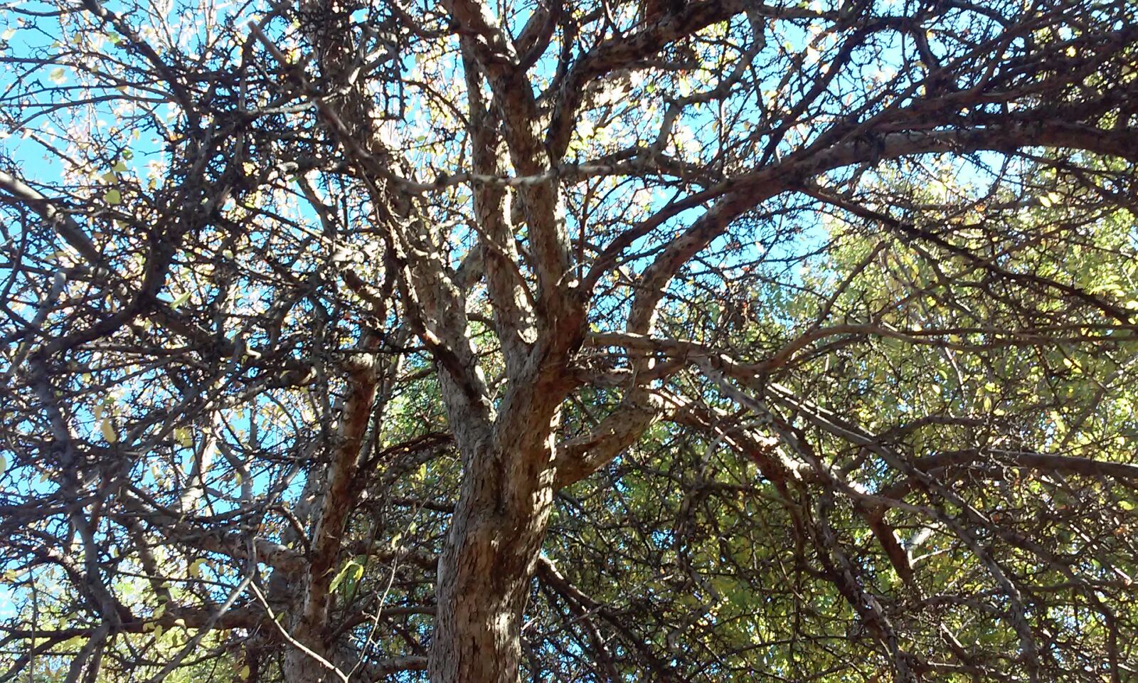 Azi despre ieri – 29 noiembrie 2017