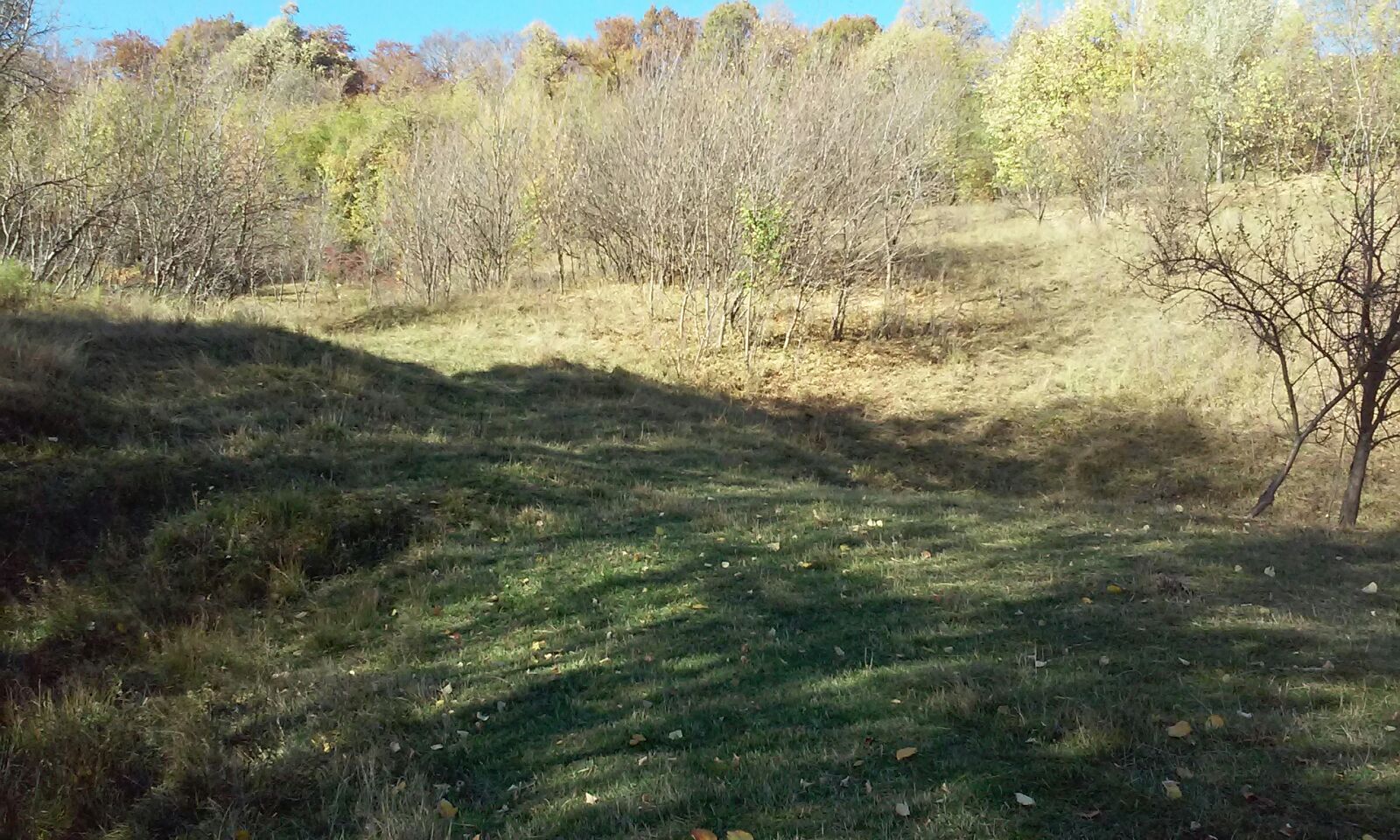 Azi despre ieri – 13 noiembrie 2017