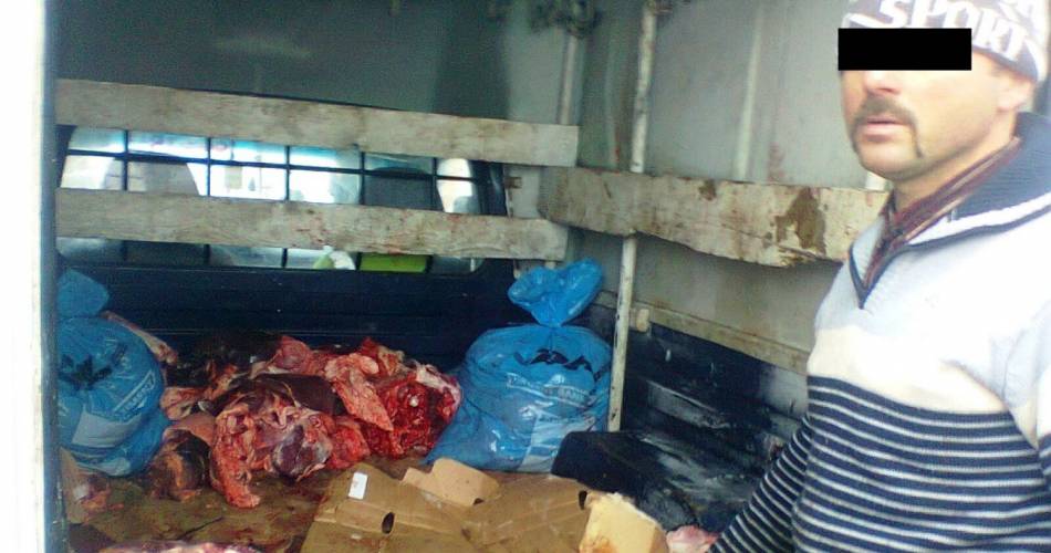 Olt: 1 tona de carne fara acte de provenienta ar fi urmat sa ajunga in magazine