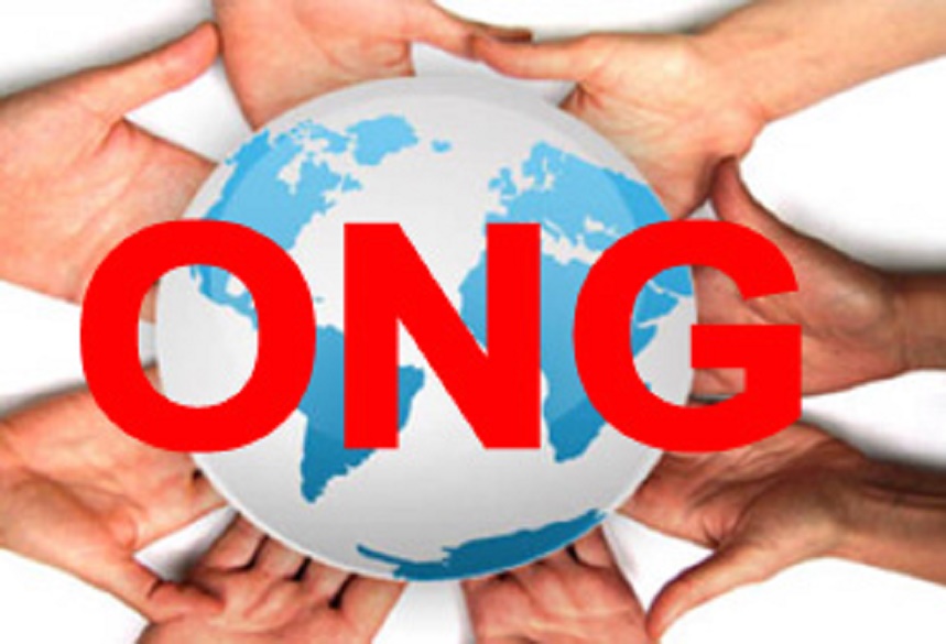 Legea ONG-urilor în dezbatere publică (audio)