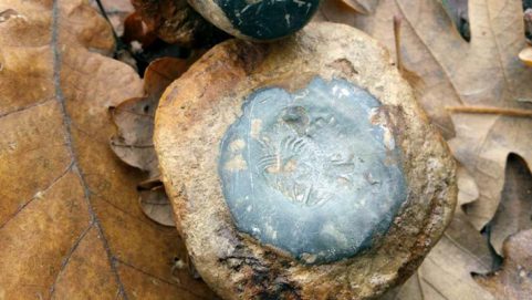 O nouă descoperire arheologică la Târgu-Cărbunești