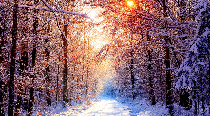 Prognoza meteo pentru 28 noiembrie