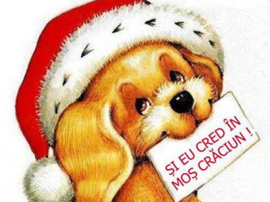 Târgul „Și eu cred în Moș Crăciun”, la o nouă ediție