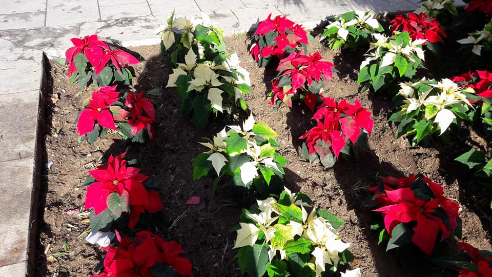 Azi despre ieri – 24 ianuarie 2018