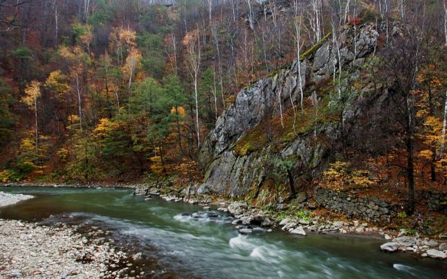 Salvați Valea Jiului!