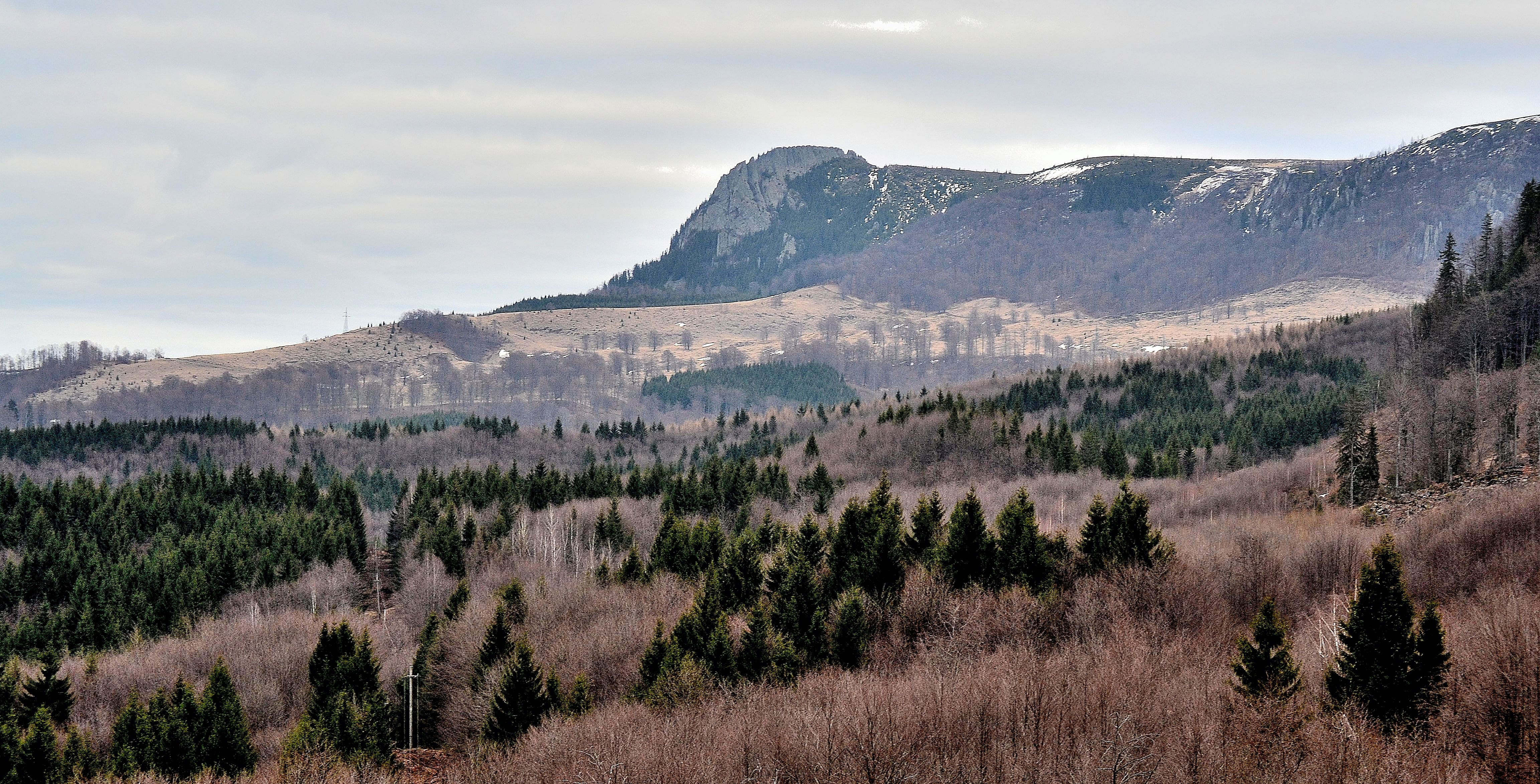 Prognoza meteo 11 februarie (audio)