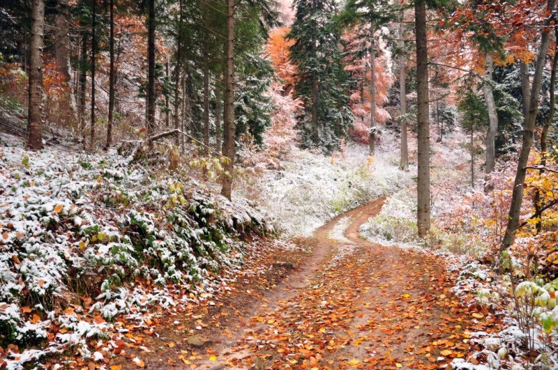 Prognoza meteo 16/17 noiembrie (audio)