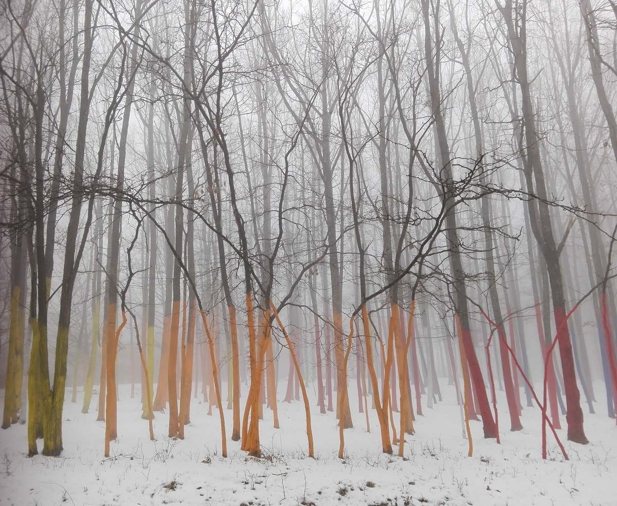 Azi despre ieri – 1 februarie 2018