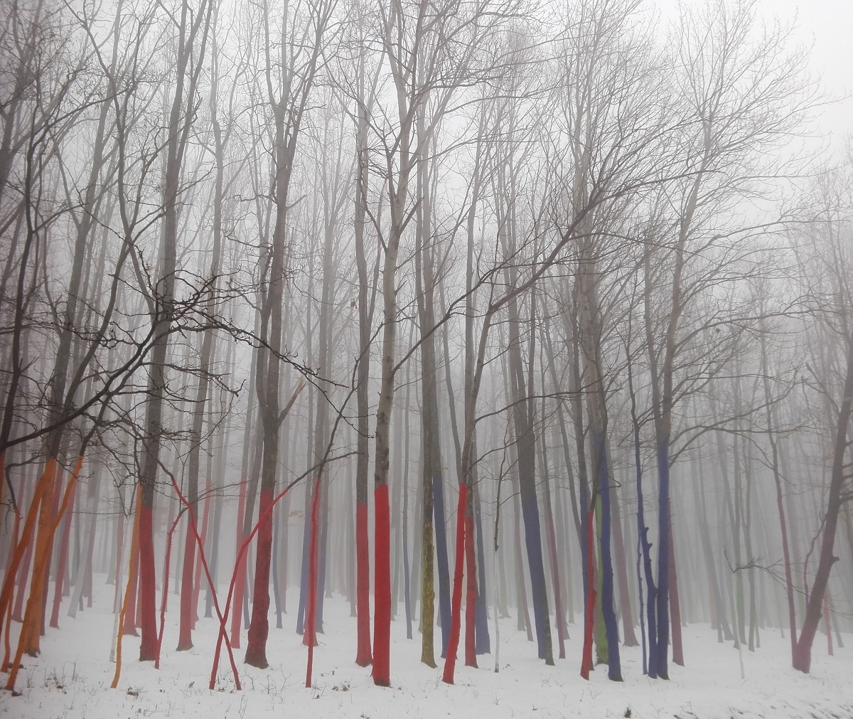 Vremea, 23/24 ianuarie, în Oltenia (audio)