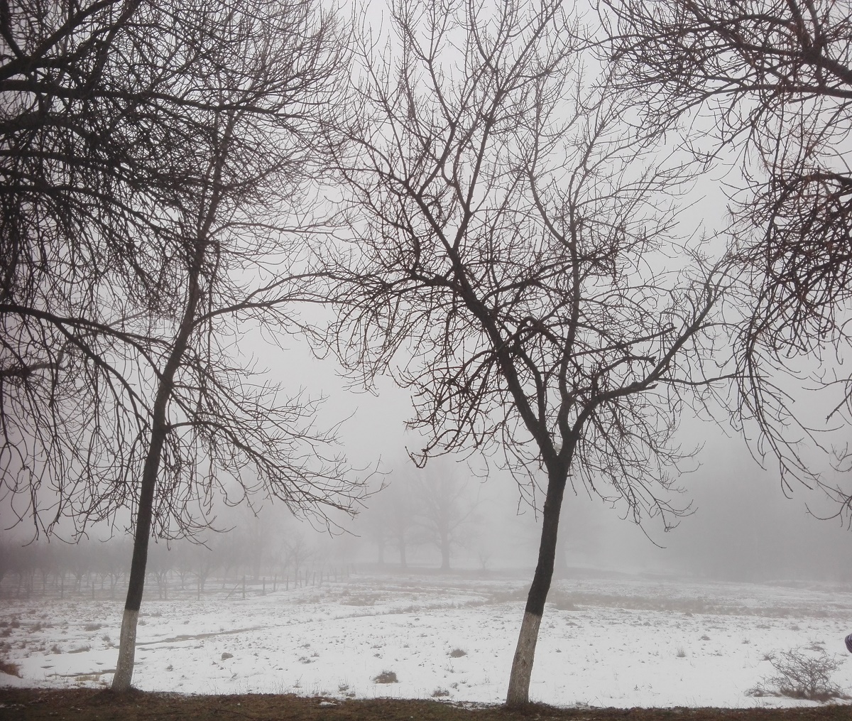 Azi despre ieri – 10 februarie 2018