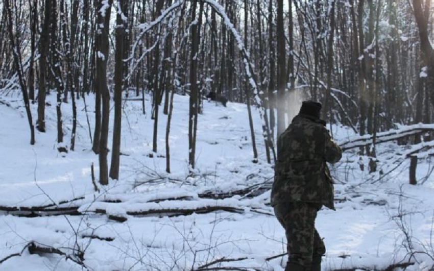 Prins la vânătoare de mistreți