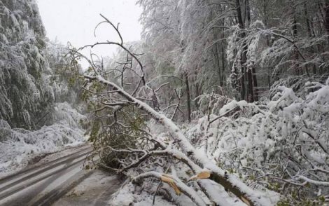Vremea rea a afectat și județul Vâlcea
