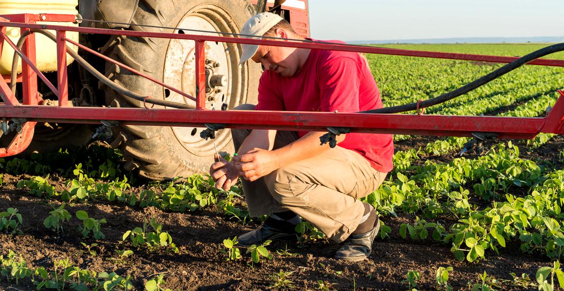 Doljul, locul întâi pe țară la absorbția de fonduri europene în agricultură
