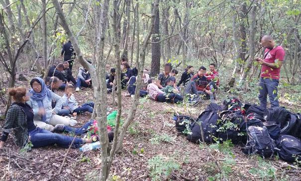 Avion cu imigranți (audio)