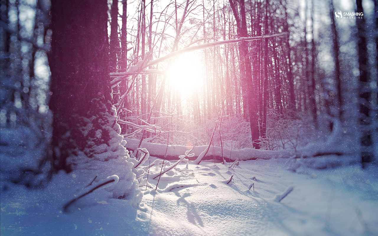 Prognoza meteo pentru 12 ianuarie