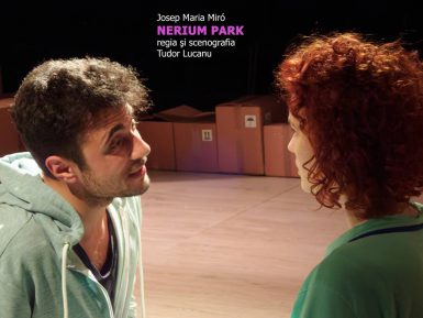 Spectacol la Teatrul Anton Pann