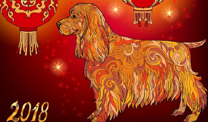 Începe Anul Câinelui chinezesc