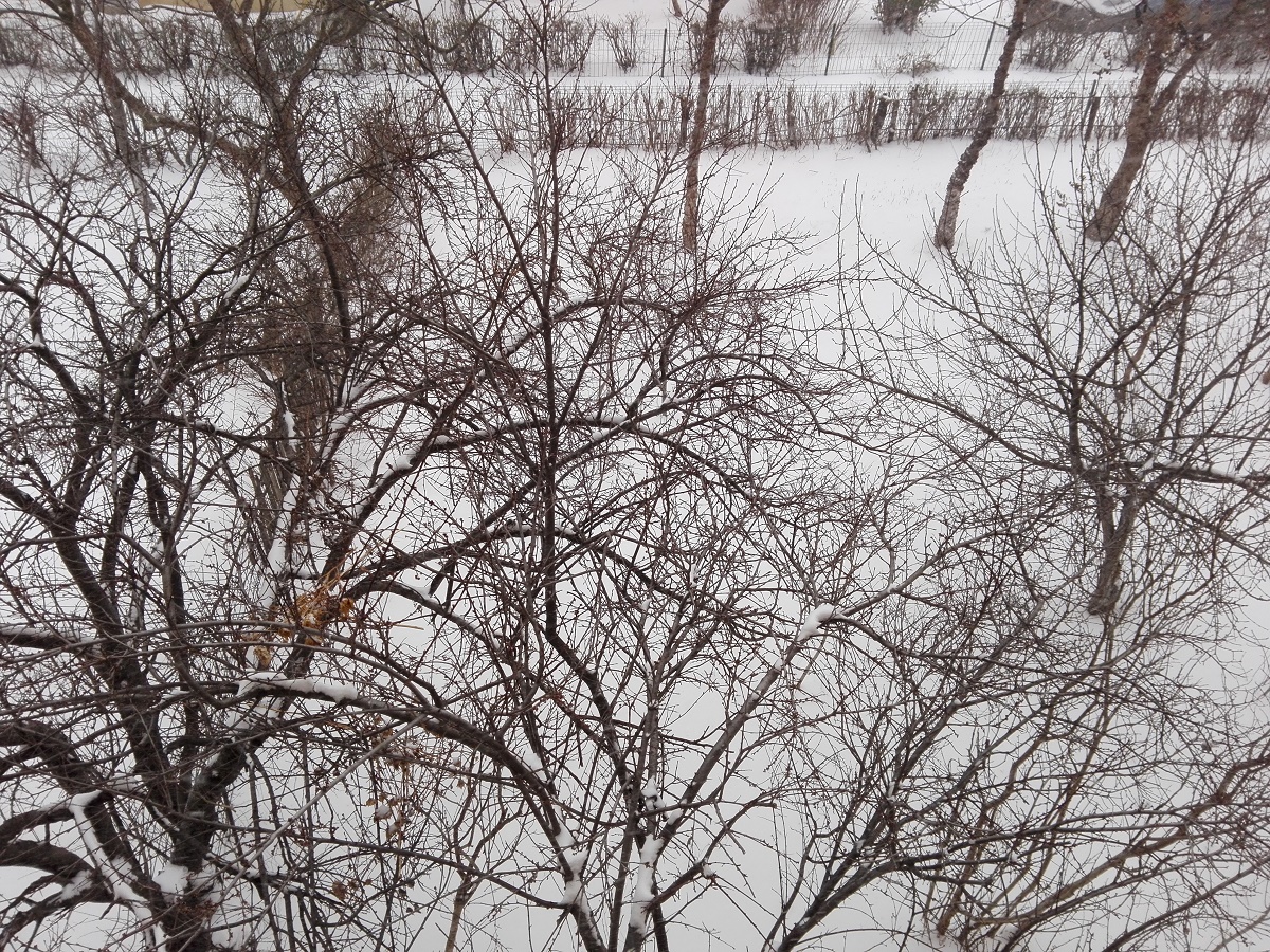 Azi despre ieri – 1 martie 2018