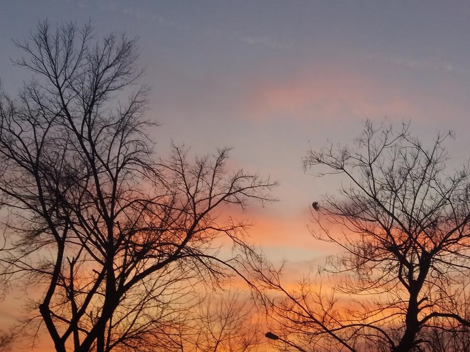 Azi despre ieri – 16 februarie 2018