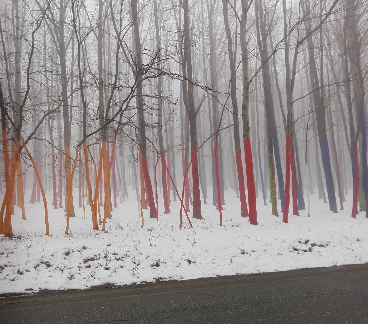 Vremea, luni, în Oltenia (audio)