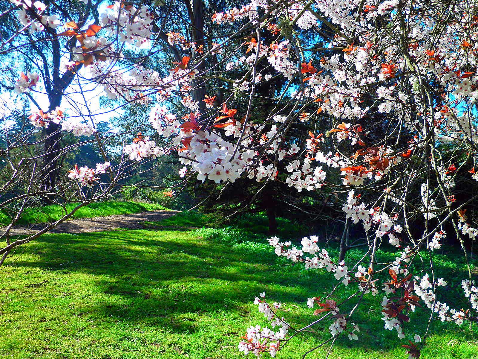 Prognoza meteo pentru 5 februarie