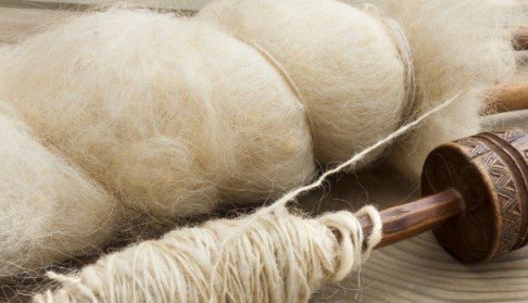 Oierii pot valorifica lâna în 20 de centre de colectare