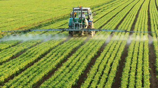 Atenție la pesticide!