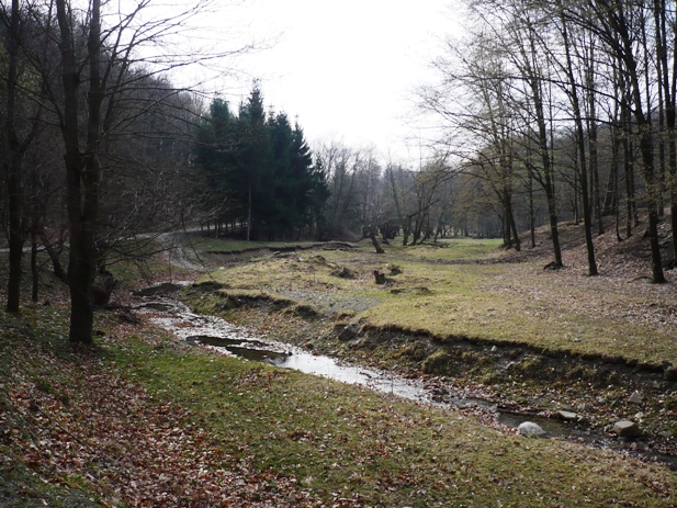 Prognoza meteo 20 martie (audio)