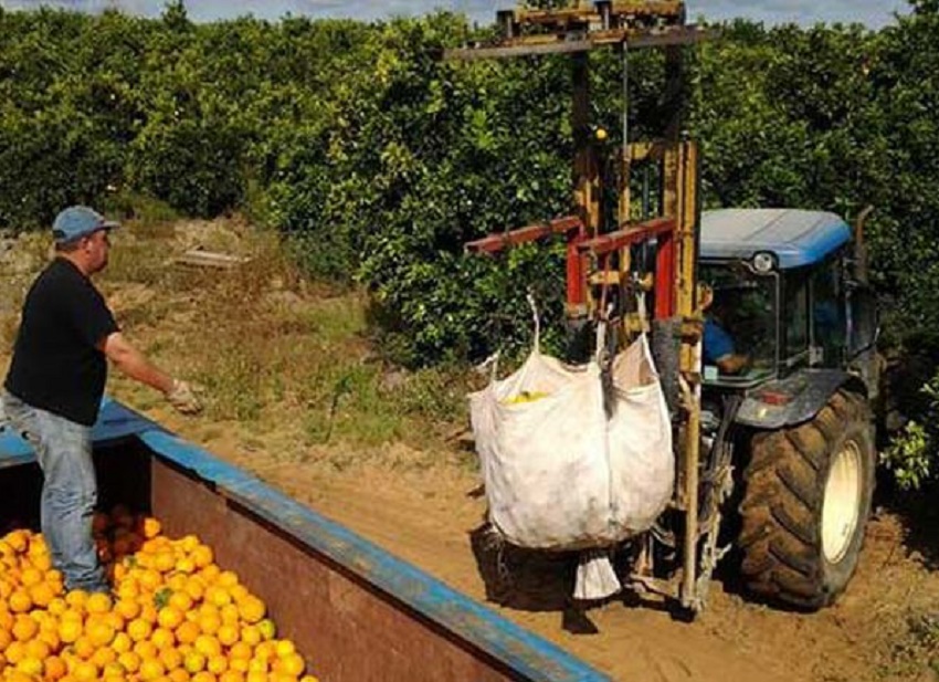 Locuri de muncă sezonieră în domeniul agricol în Spania prin intermediul EURES