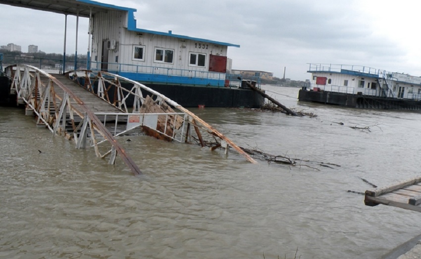 Cod portocaliu pe Dunăre (audio)