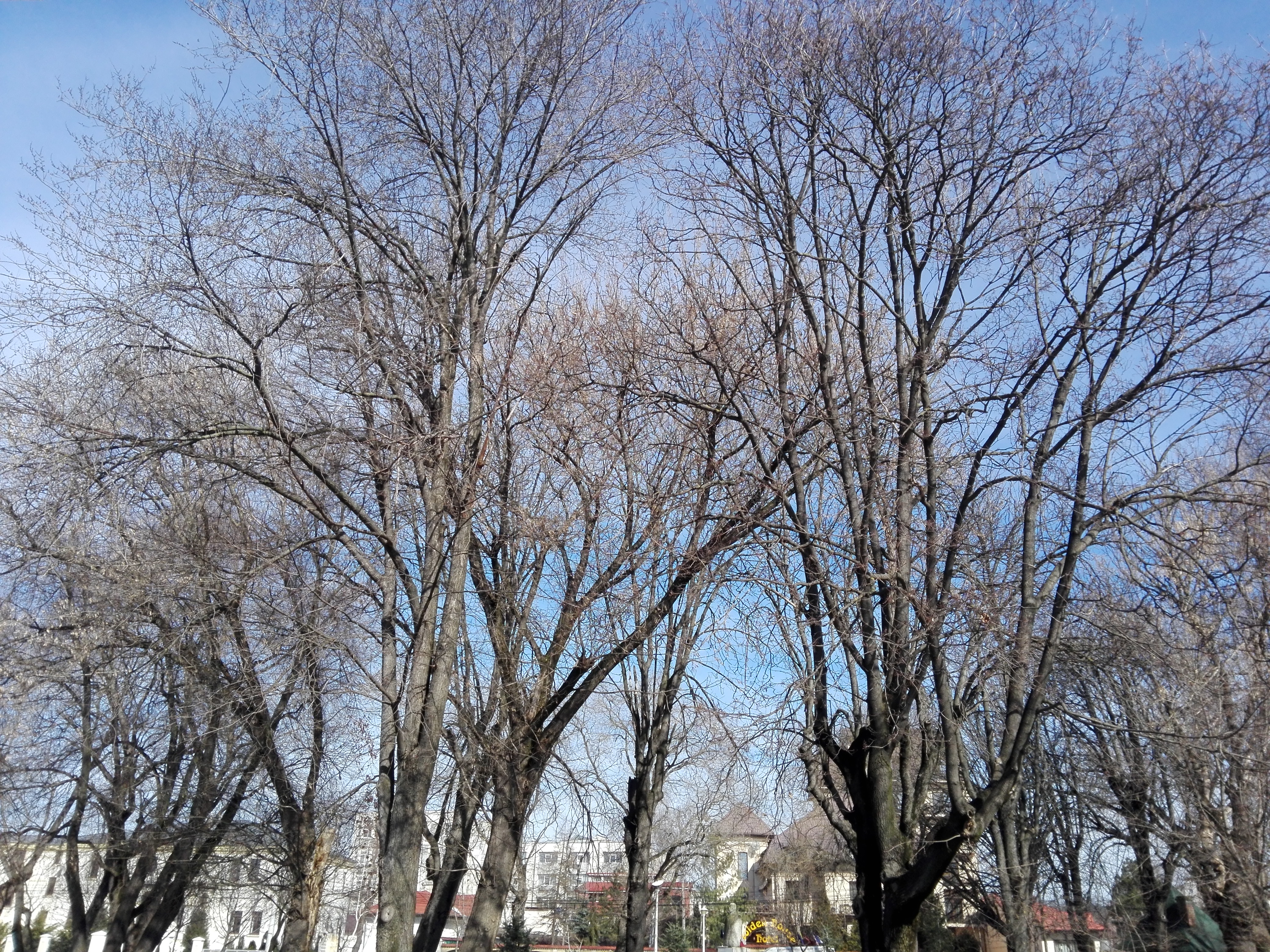 Azi despre ieri – 14 martie 2018