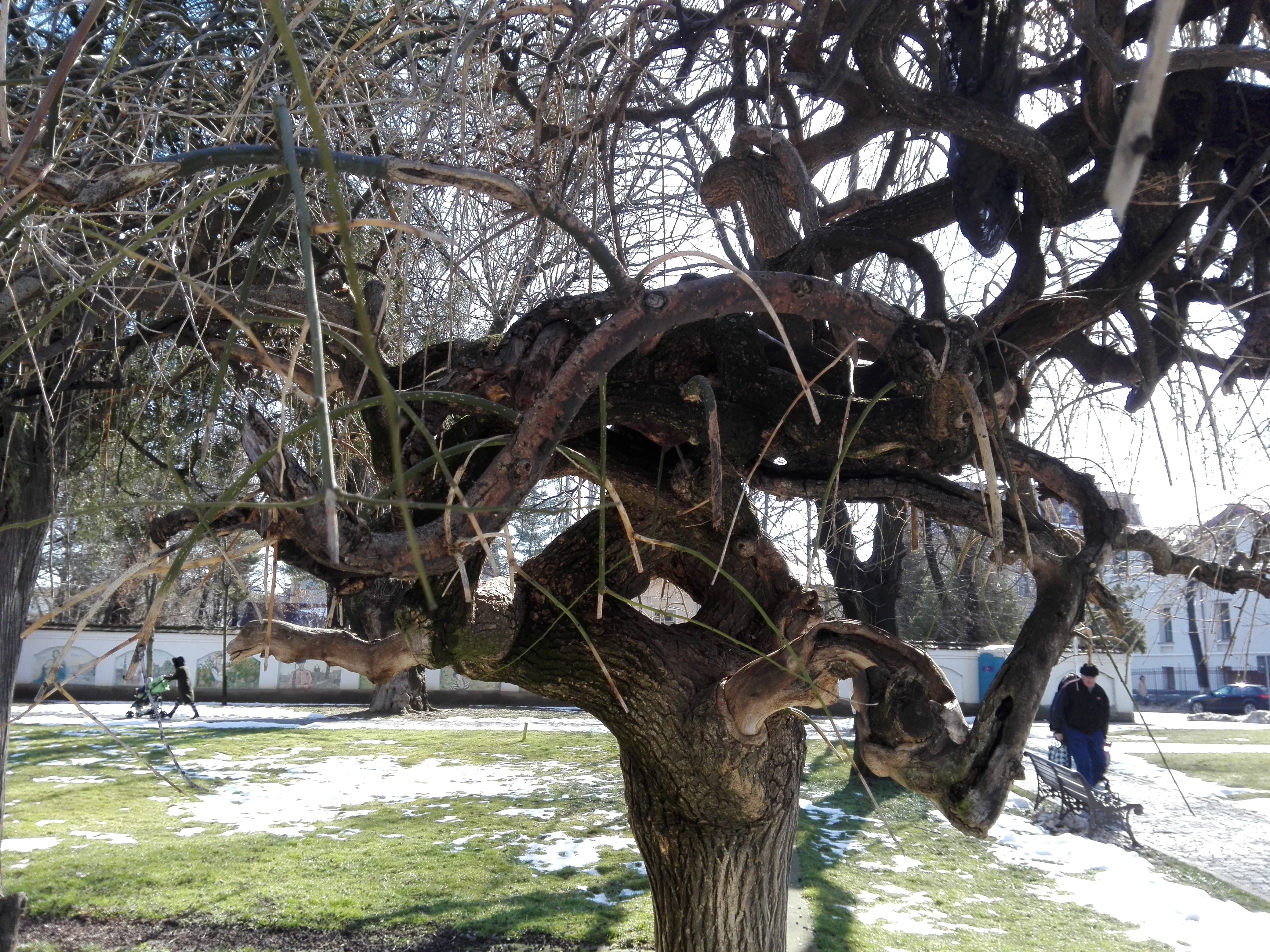 Azi despre ieri – 13 martie 2018