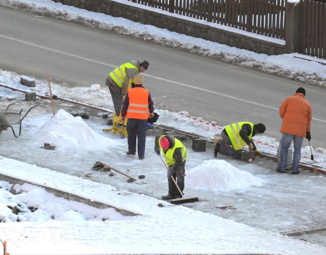 Cod portocaliu de ger