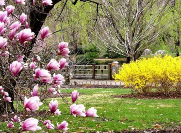 Vremea intră într-un proces de încălzire (audio)