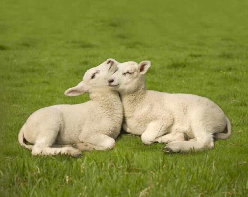 Vremea, astăzi, în Oltenia (audio)