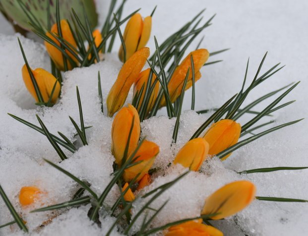 Prognoza meteo 6/7 martie (audio)