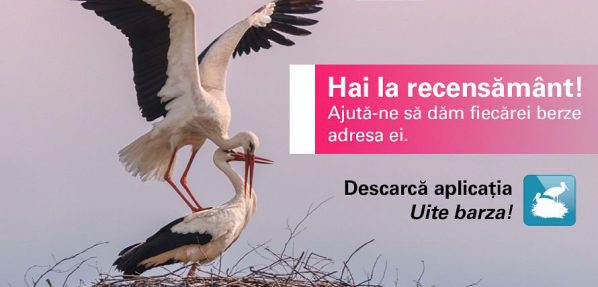 SOR continuă proiectul „Uite Barza”